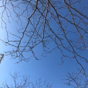 Meet your Posher, Catie